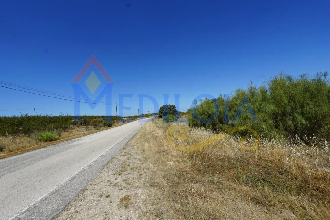Terreno para Venda em Azinhal Foto 14
