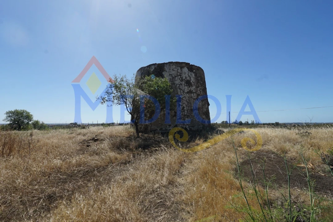 Terreno para Venda em Azinhal Foto 15