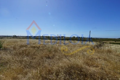 Terreno para Venda em Azinhal