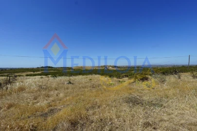 Terreno para Venda em Azinhal