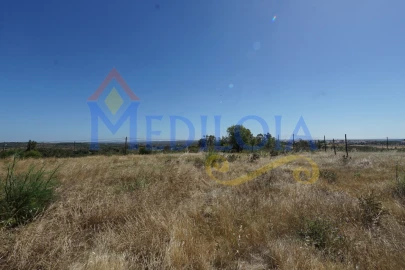 Terreno para Venda em Azinhal