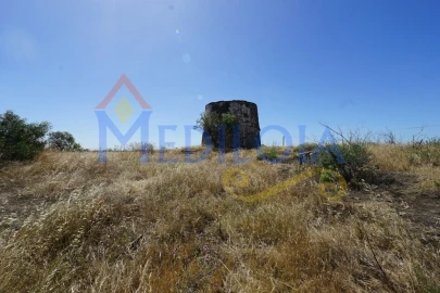 Terreno para Venda em Azinhal