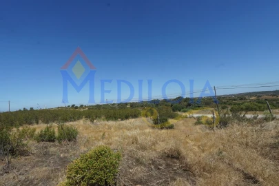 Terreno para Venda em Azinhal