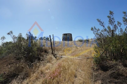 Terreno para Venda em Azinhal