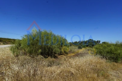 Terreno para Venda em Azinhal