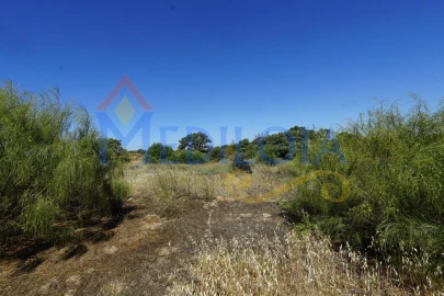 Terreno para Venda em Azinhal