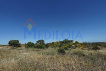 Terreno para Venda em Azinhal