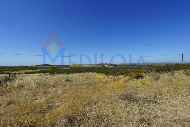 Terreno para Venda em Azinhal Foto 2