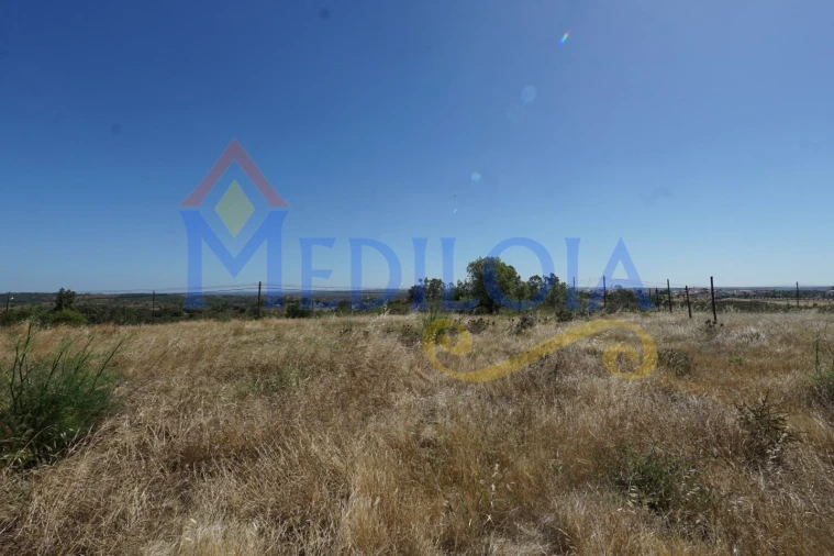 Terreno para Venda em Azinhal Foto 7