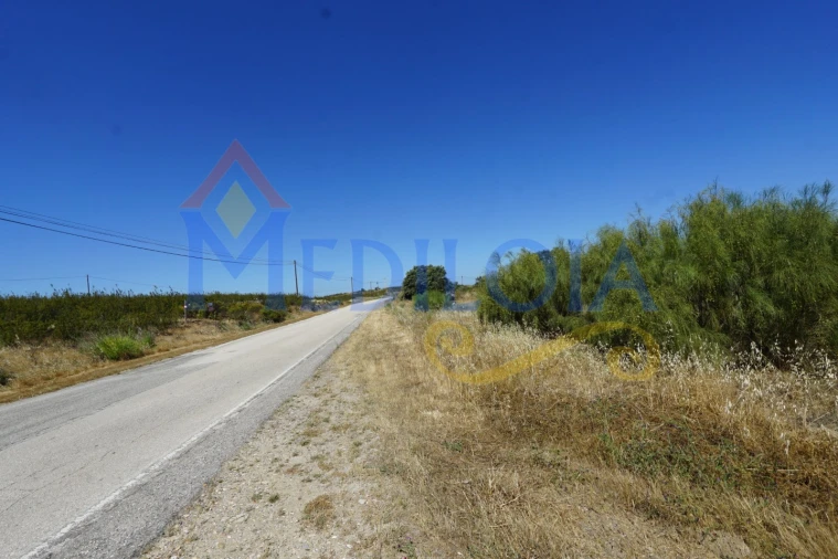 Terreno para Venda em Azinhal Foto 14
