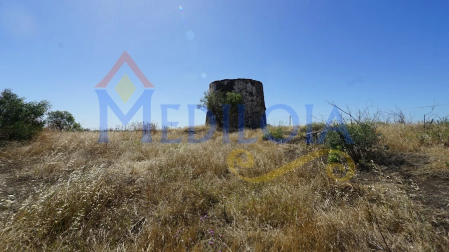 Terreno para Venda em Azinhal