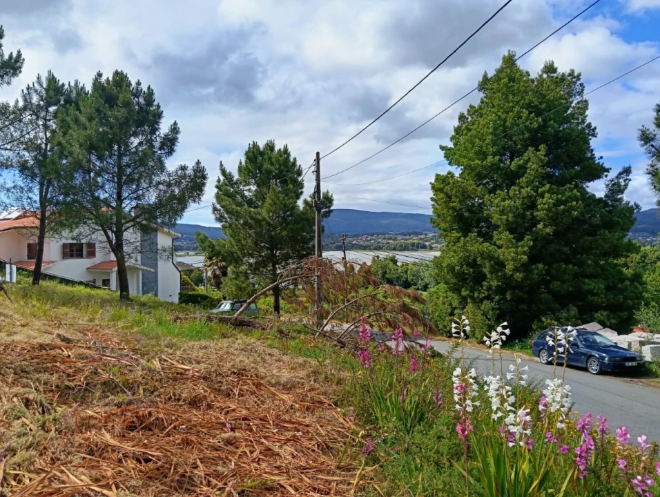 Terreno para Venda em Seixas Foto 2
