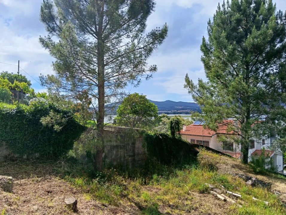 Terreno para Venda em Seixas Foto 3