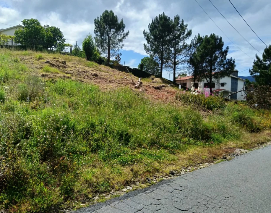 Terreno para Venda em Seixas Foto 4