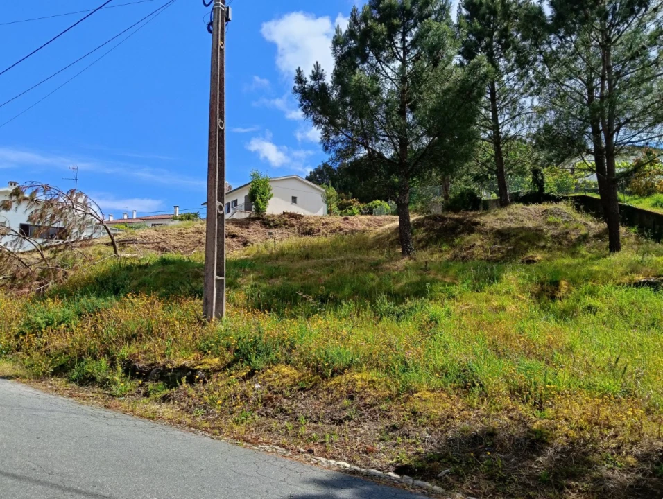 Terreno para Venda em Seixas Foto 5