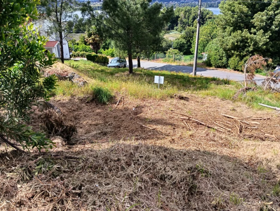 Terreno para Venda em Seixas Foto 8