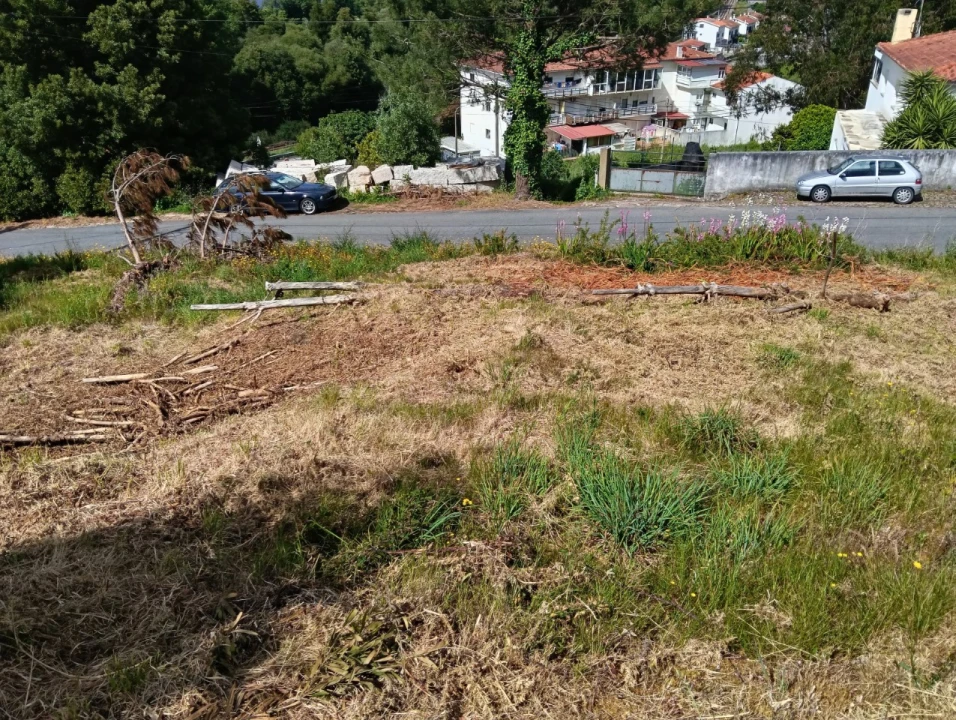 Terreno para Venda em Seixas Foto 9