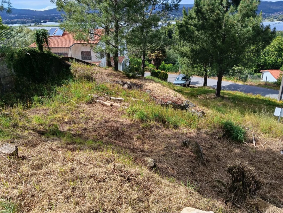 Terreno para Venda em Seixas Foto 10