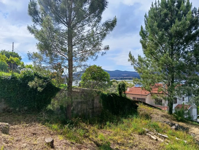 Terreno para Venda em Seixas Foto 3