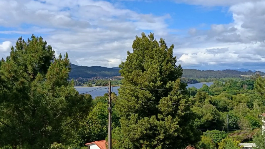 Terreno para Venda em Seixas