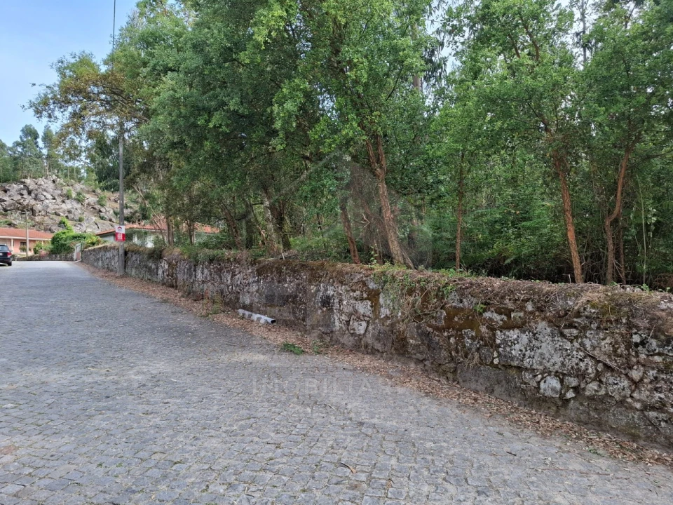 Terreno para Venda em Palmeira de Faro e Curvos Foto 2