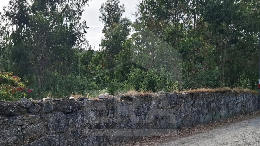 Terreno para Venda em Palmeira de Faro e Curvos
