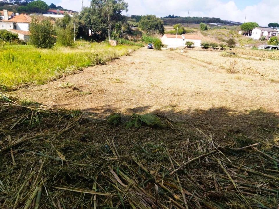 Terreno para Venda em Salir de Matos Foto 5