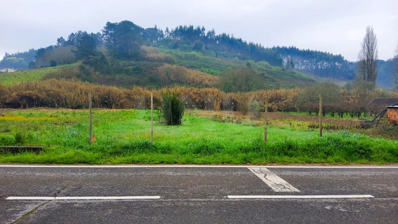Terreno para Venda em Salir de Matos Foto 3