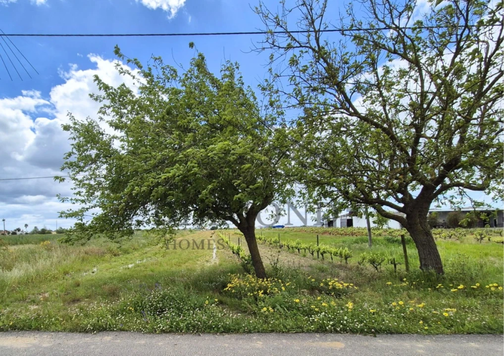 Terreno para Venda em Benfica do Ribatejo Foto 1