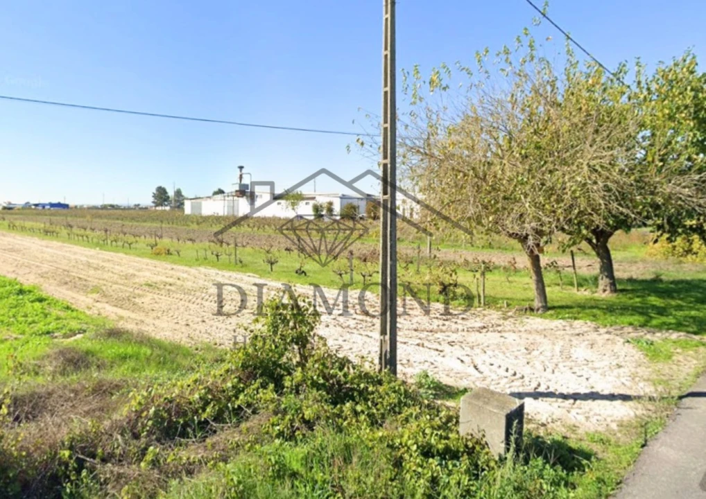Terreno para Venda em Benfica do Ribatejo Foto 3