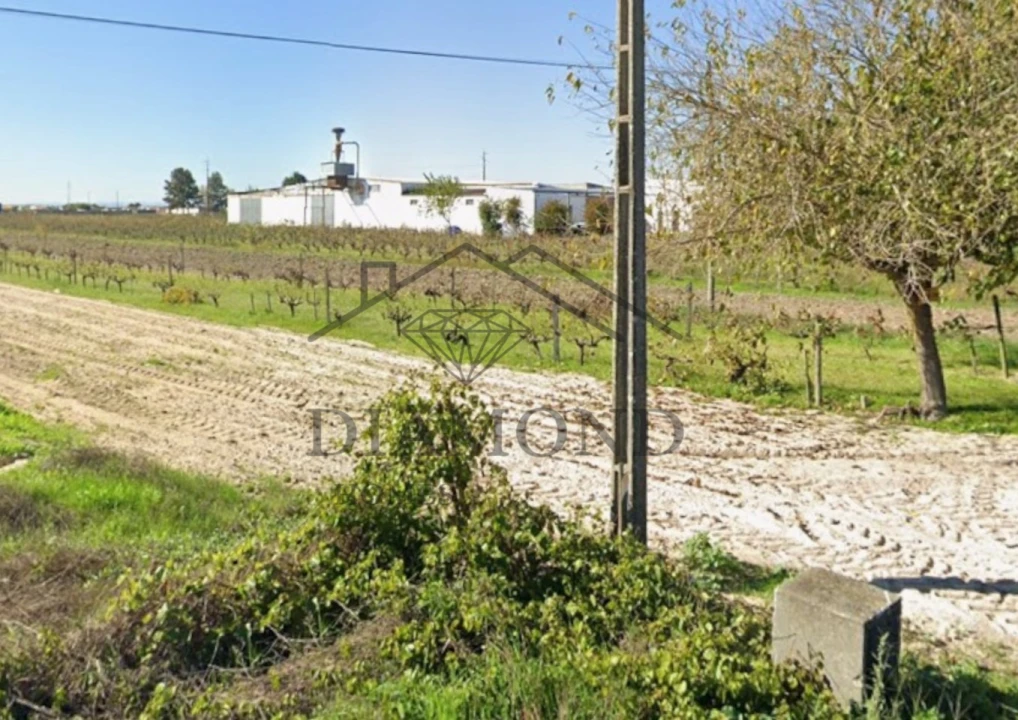 Terreno para Venda em Benfica do Ribatejo Foto 5