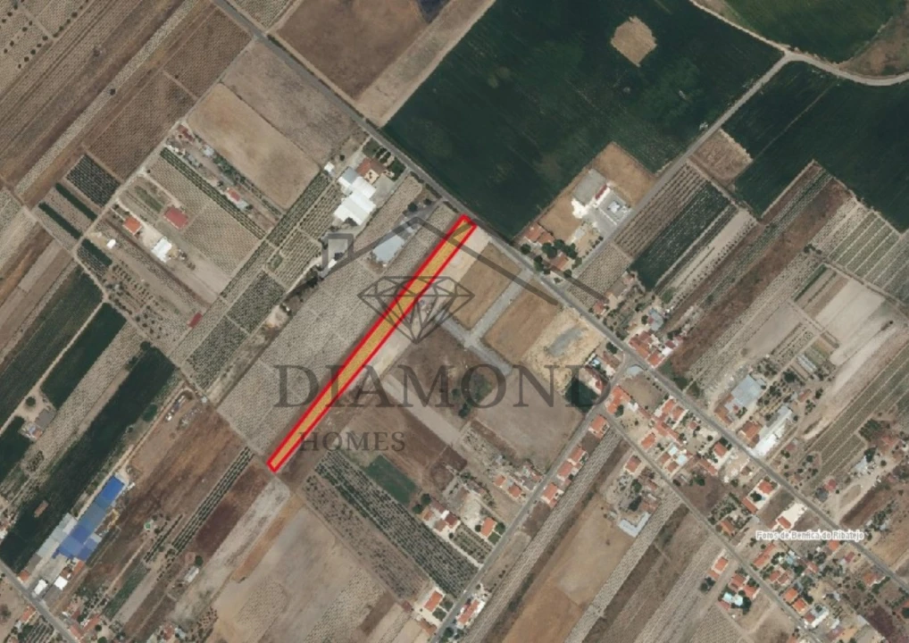 Terreno para Venda em Benfica do Ribatejo Foto 6