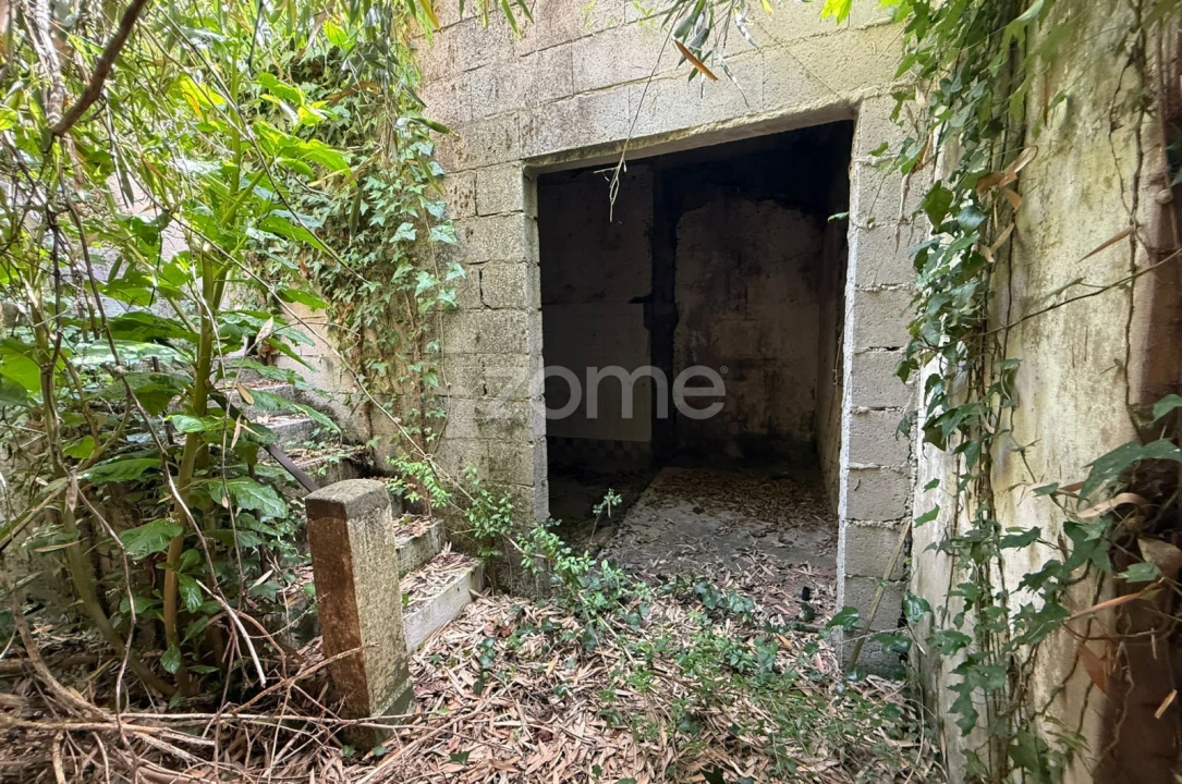 Negócio para Arrendamento em Cantanhede e Pocariça Foto 19