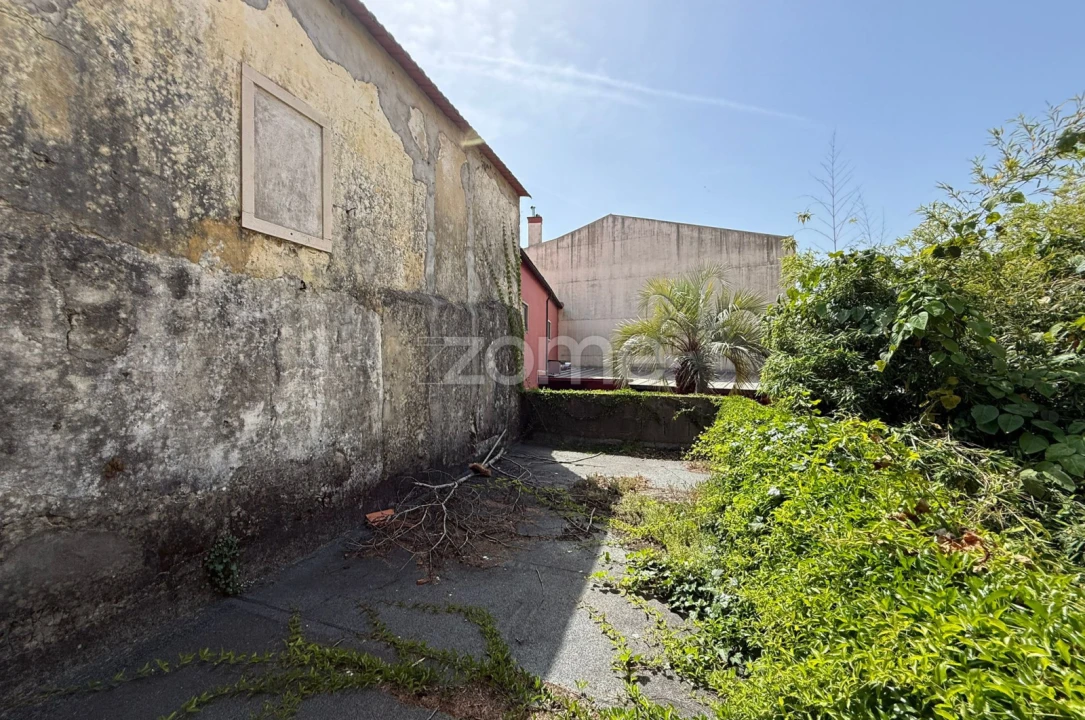 Negócio para Arrendamento em Cantanhede e Pocariça Foto 17