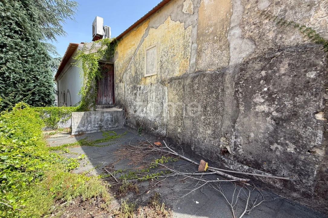 Negócio para Arrendamento em Cantanhede e Pocariça Foto 16