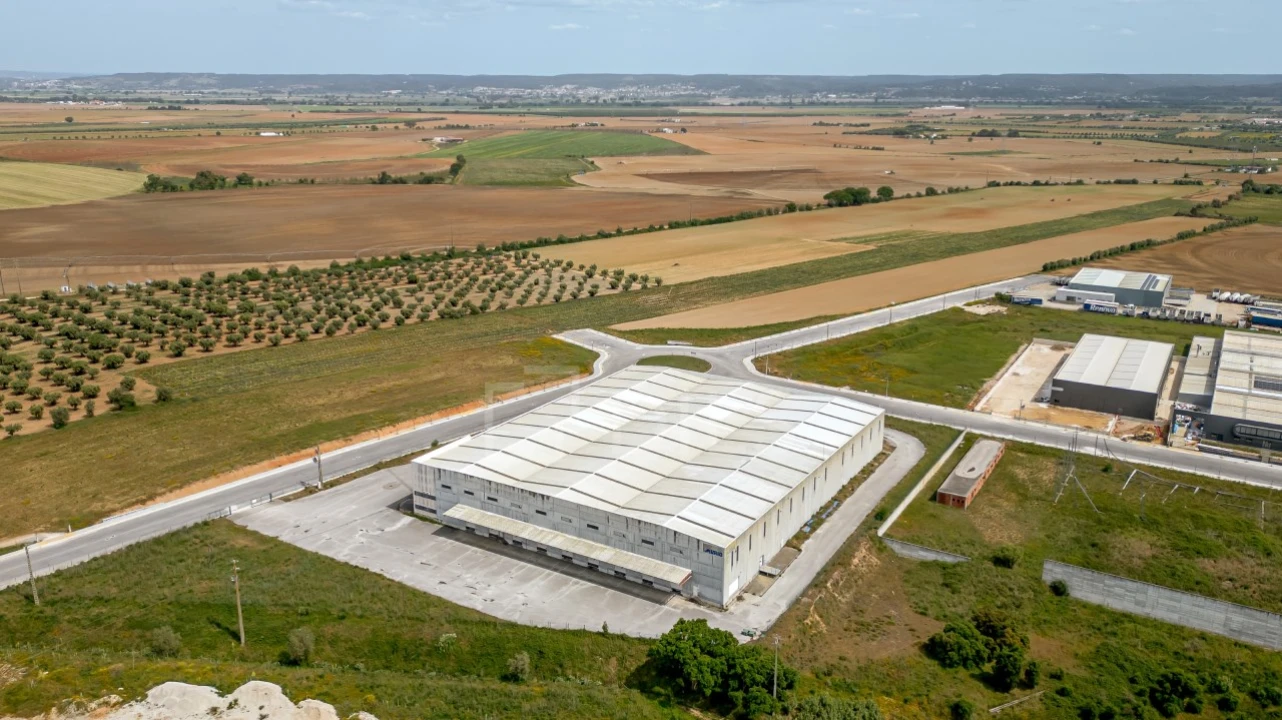 Armazém para Arrendamento em Riachos Foto 20