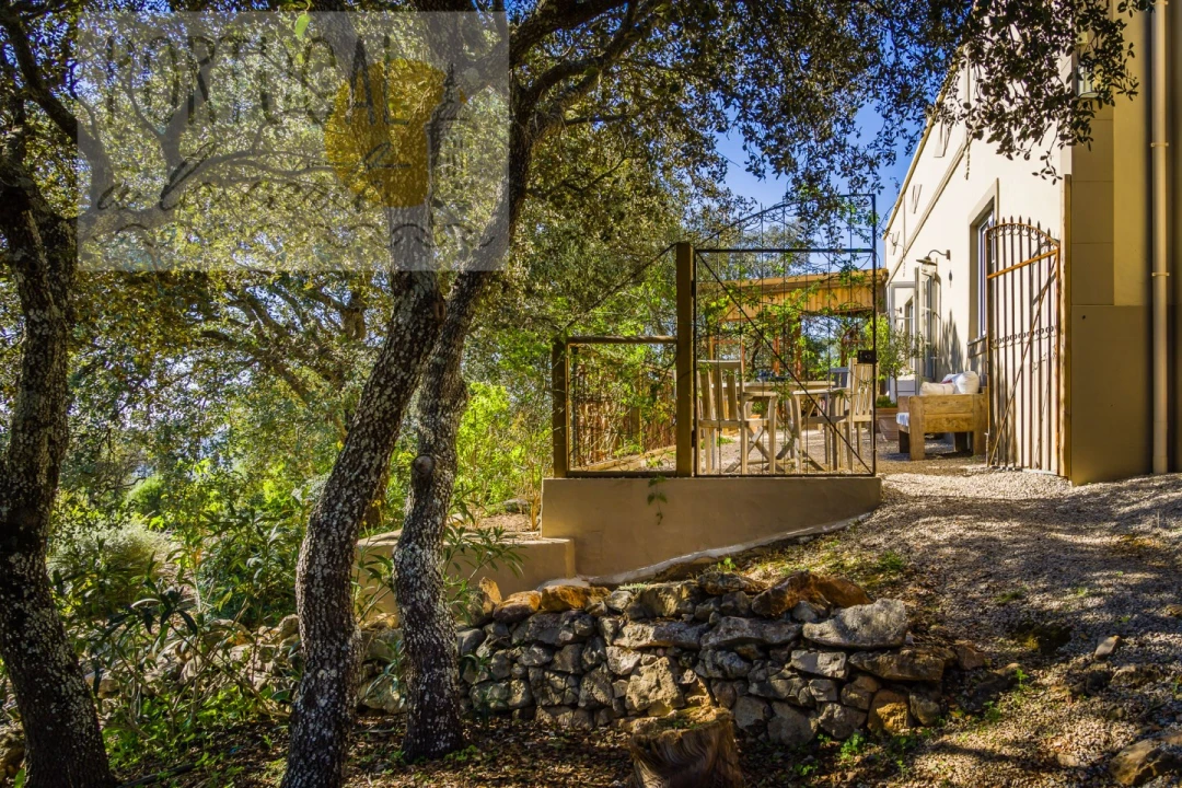Moradia T3 para Venda em Querença, Tôr e Benafim Foto 40