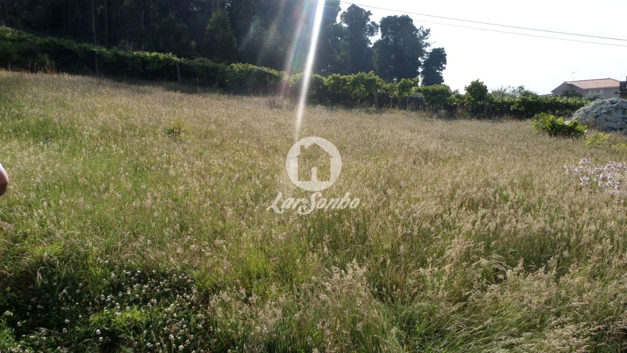 Terreno para Venda em Laundos Foto 4