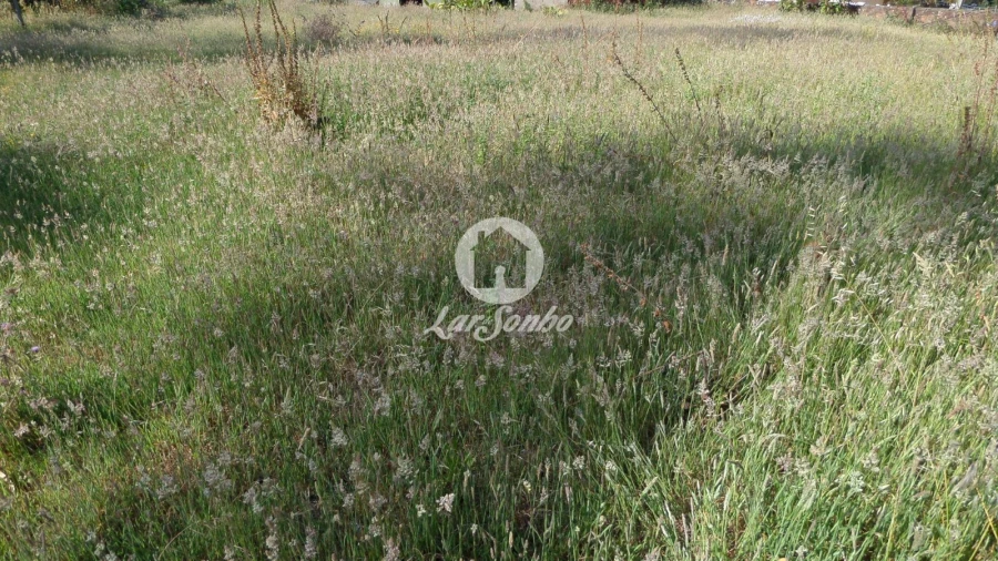 Terreno para Venda em Laundos Foto 3