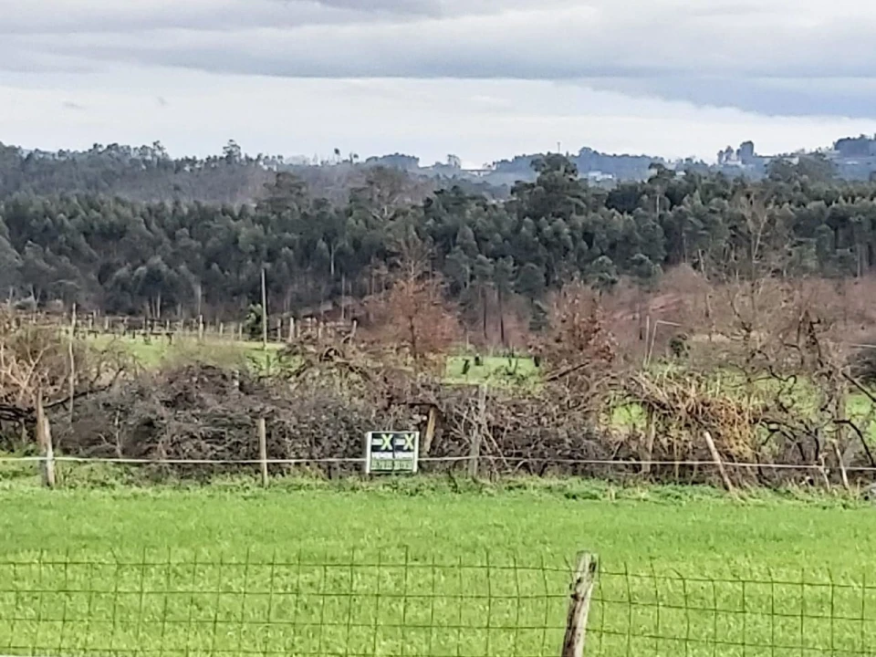 Terreno Agricola ou Rústico para Venda em Silvares, Pias, Nogueira e Alvarenga Foto 1