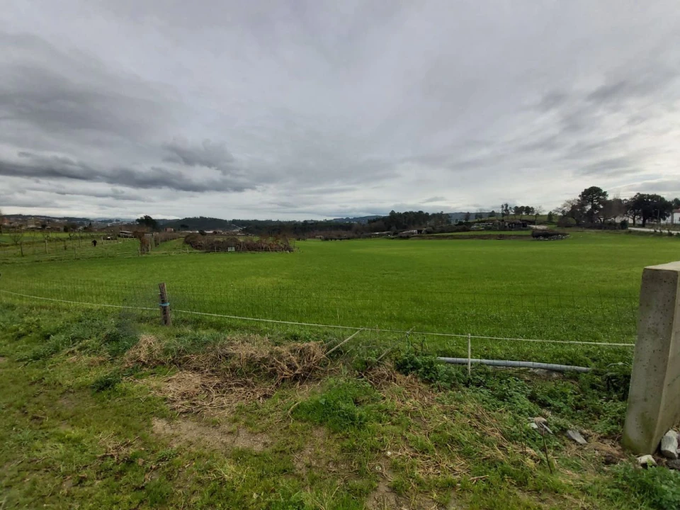 Terreno Agricola ou Rústico para Venda em Silvares, Pias, Nogueira e Alvarenga Foto 4