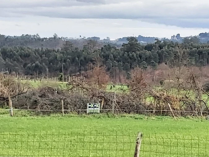 Terreno Agricola ou Rústico para Venda em Silvares, Pias, Nogueira e Alvarenga Foto 1