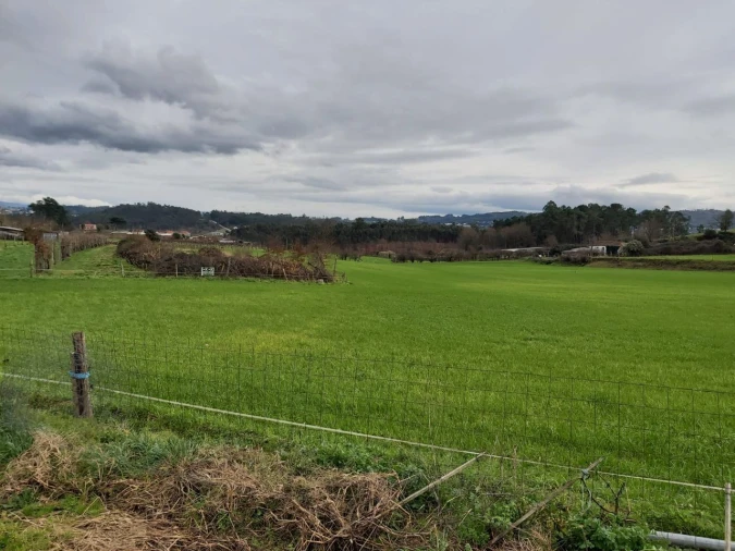 Terreno Agricola ou Rústico para Venda em Silvares, Pias, Nogueira e Alvarenga Foto 3