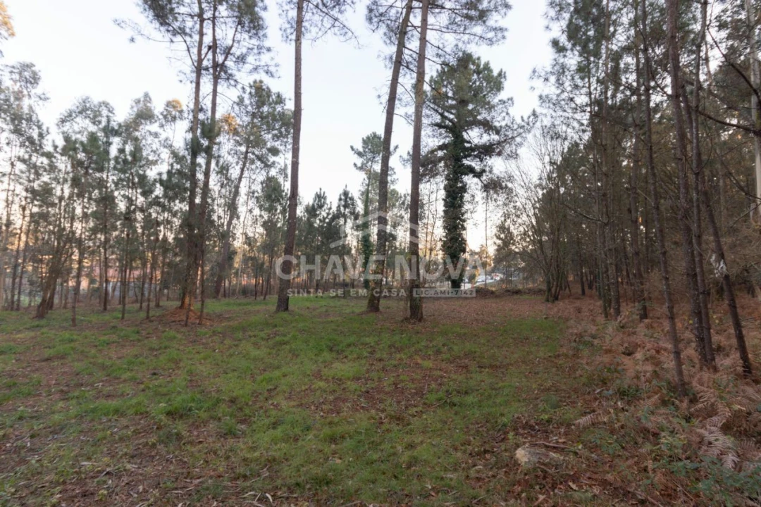 Terreno para Venda em Argoncilhe Foto 6