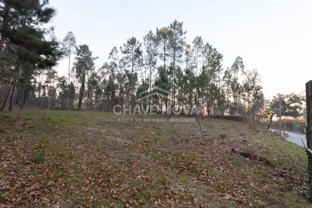 Terreno para Venda em Argoncilhe Foto 7