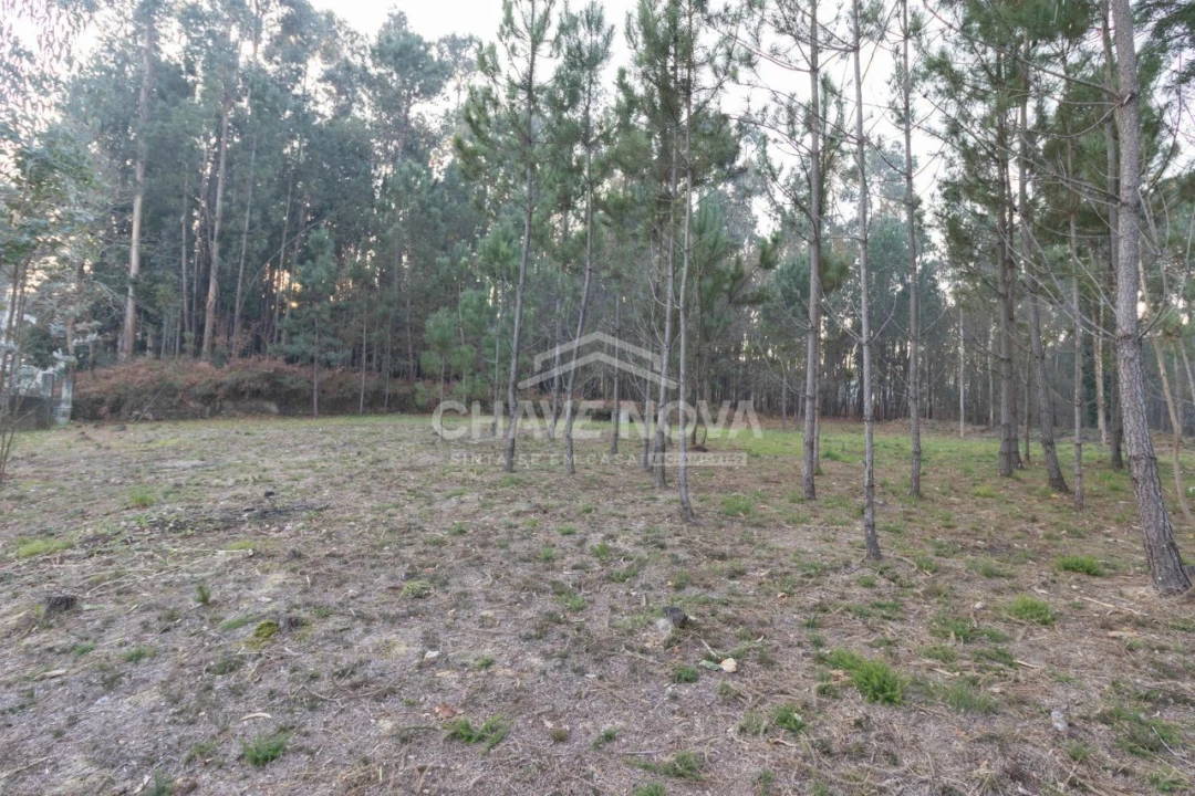 Terreno para Venda em Argoncilhe Foto 9