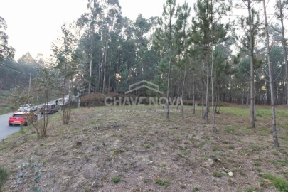 Terreno para Venda em Argoncilhe