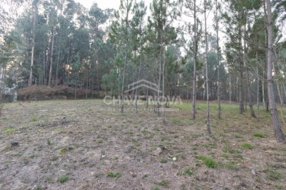 Terreno para Venda em Argoncilhe