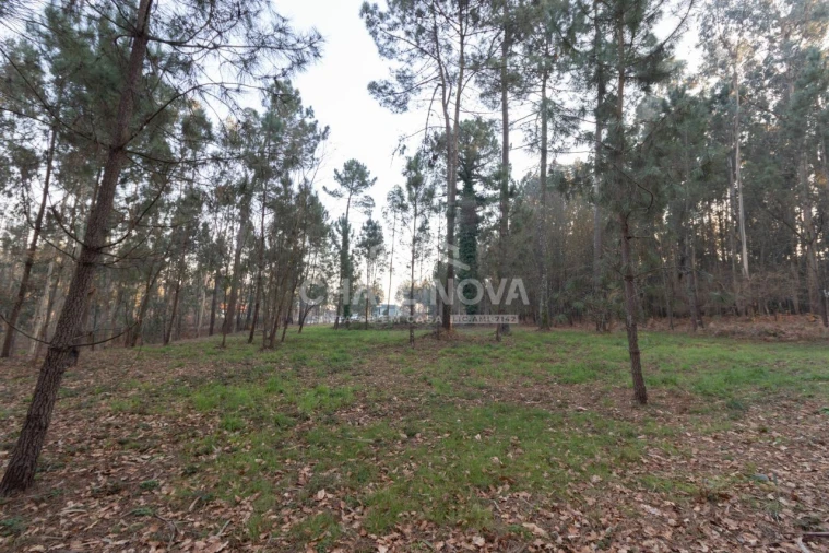 Terreno para Venda em Argoncilhe Foto 5