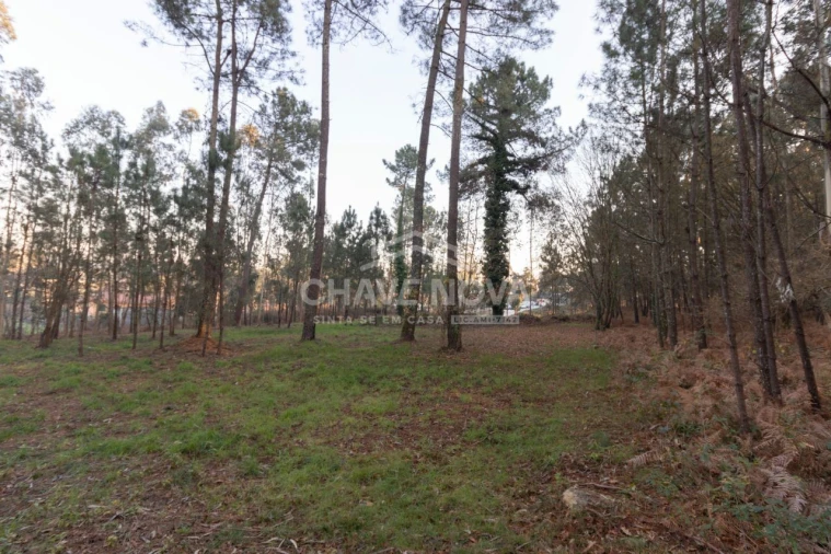 Terreno para Venda em Argoncilhe Foto 6